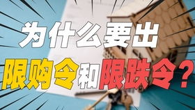 95后創(chuàng)過業(yè)的大廠產(chǎn)品經(jīng)理 互聯(lián)網(wǎng)銷售、市場與運(yùn)營深度解析——收割Offer必看行業(yè)干貨